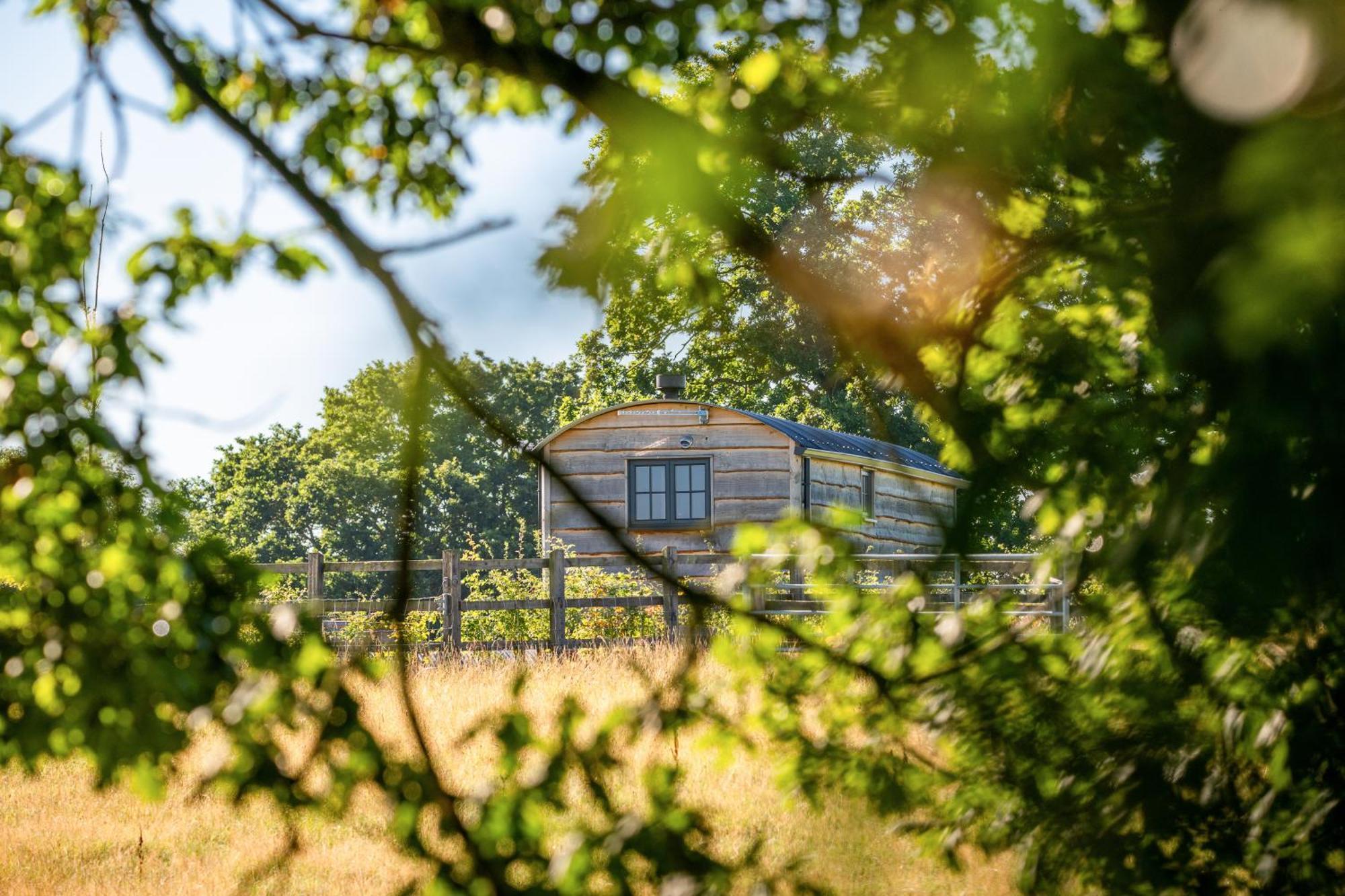 Monkwood Shepherds Hut - Ockeridge Rural Retreats Worcester Exteriör bild